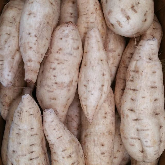 sweat potatoes